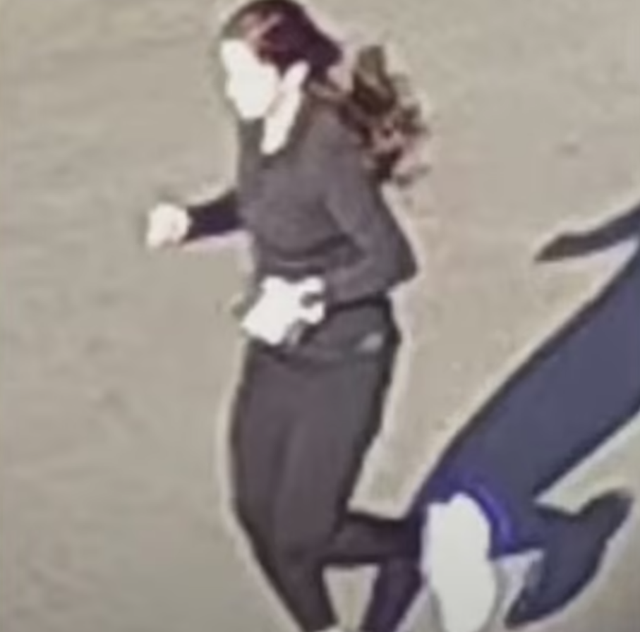 1732153313390580.png
