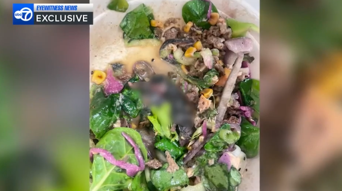 妹子餐馆打包外卖竟吃出死老鼠！餐馆老板必看需谨慎！！！！