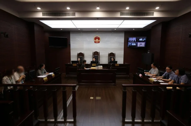 上海女子赴美产女后病逝，两美籍孩子生父成谜，面临被驱逐风险，八旬外祖父诉至法院。