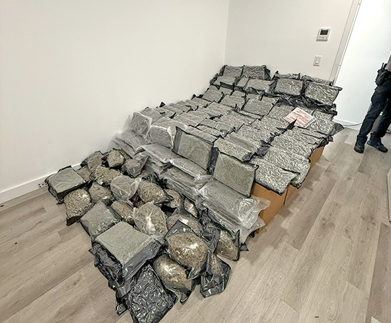 纽约6华人全被捕，房间藏91斤巨量毒品，还有50万现金和两把枪！