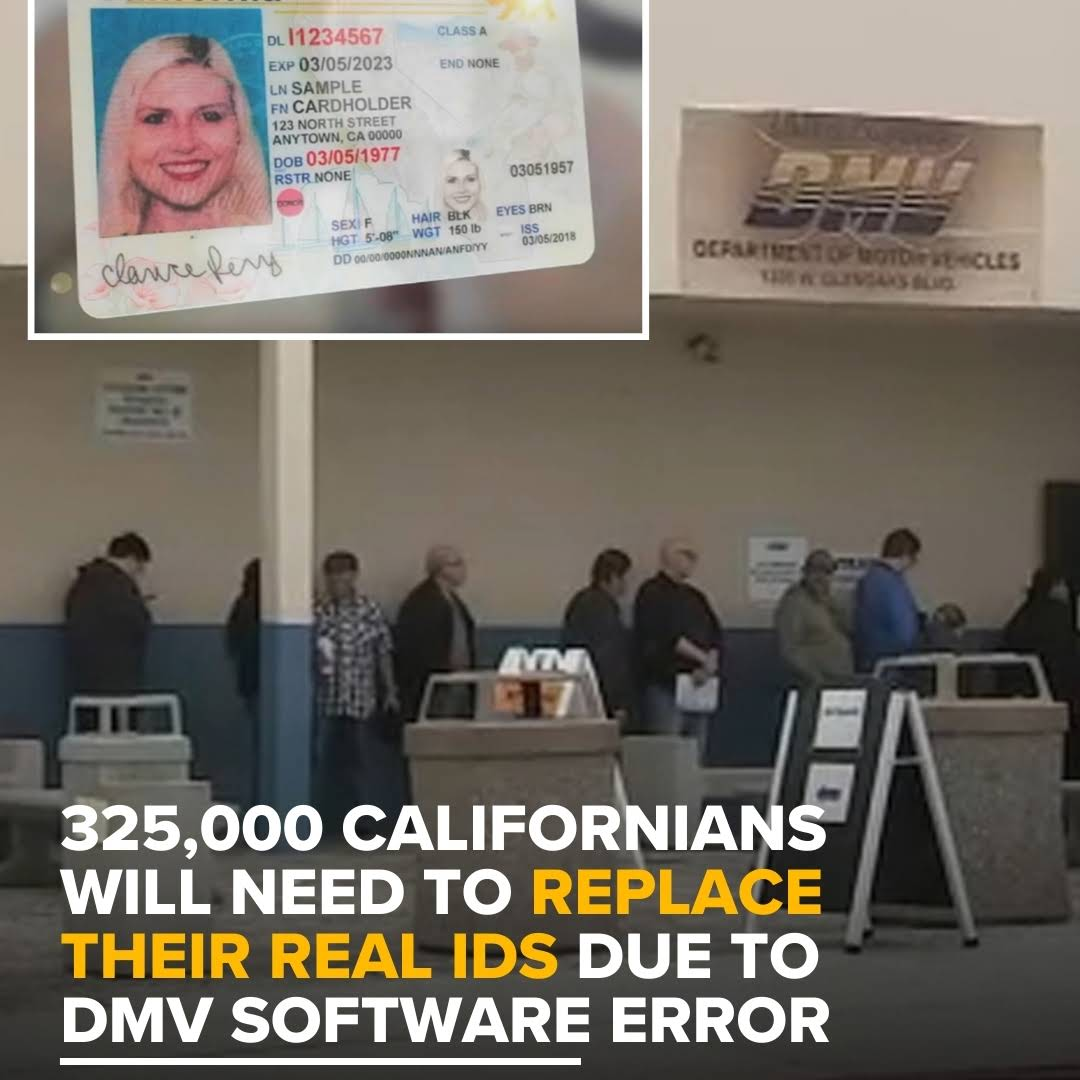 离谱！美国DMV系统出大错！超32万人REAL ID“作废重来”？你中招了吗？