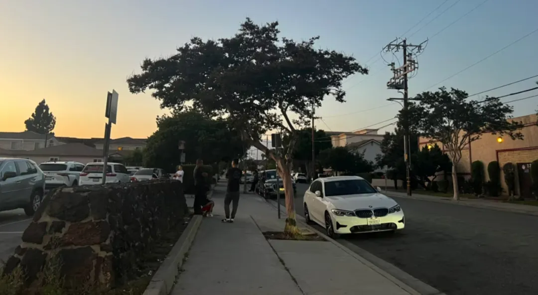 华人偷渡失败引爆纠纷，法院最终这样判决…