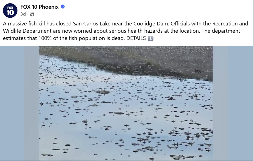 美国惊现“死亡湖”!湖中鱼类几乎100%死亡,官方紧急无限期封湖