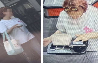 3天赚5万美金!法拉盛华女被捕:外州经营X交易,自己家开设地下赌档,还薅奶票福利购物...