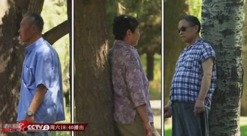 老人赴美探亲，撞桥墩“养生”惊动两辆警车！路人报警原因让她哭笑不得