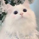 街友_W722910