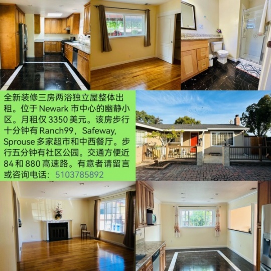 東湾Newark 市中心，全新装修三房两浴独立屋整体出租