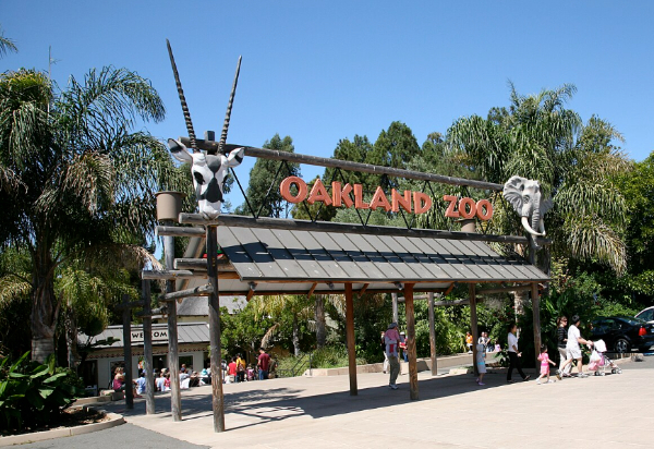Oakland Zoo 奥克兰动物园：探索加州野生世界的门户