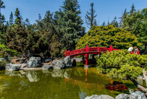 Japanese Friendship Garden 日本友谊花园：圣何塞的宁静绿洲