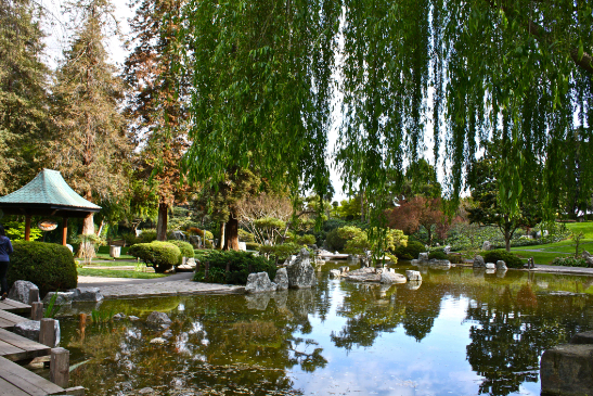 凯利公园：圣何塞的多功能休闲绿洲 (Kelley Park)