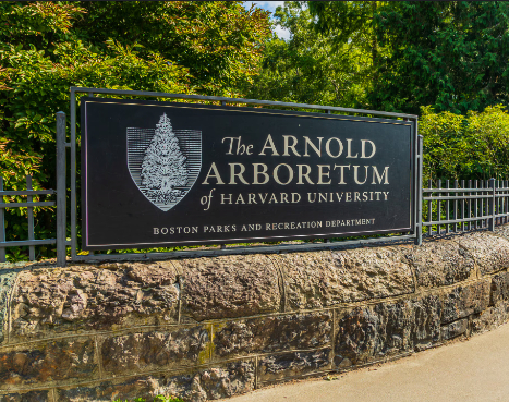 阿诺德植物园（Arnold Arboretum）