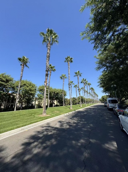 尔湾新房拎包入住，高档社区，內带独用卫生间，少炊
