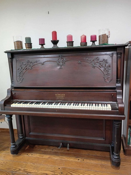 Fremont钢琴🎹出售