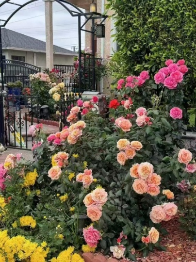 蒙市（Monterey Park）超大主卧出租，拎包入住，包水电网