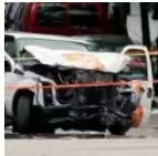 紧急警告！纽约市及周边撞鹿事故频发，驾车安全亮红灯