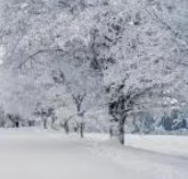 风暴席卷纽约，长岛降雪量高达8英寸，出行小心“黑冰”