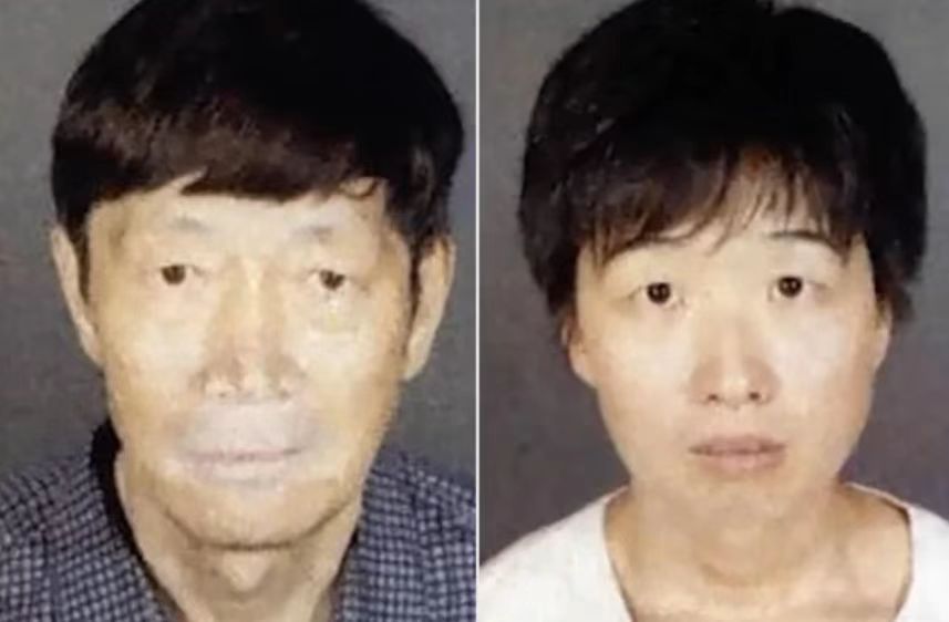 南加州华裔富豪代孕案：21个孩子被带走后，他们半年又代孕生了5个孩子