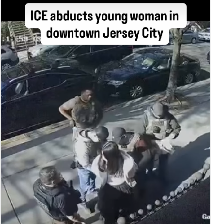 疑似华人女子街头被5人围堵带走，美国网友怒了：ICE这是在“绑架”…