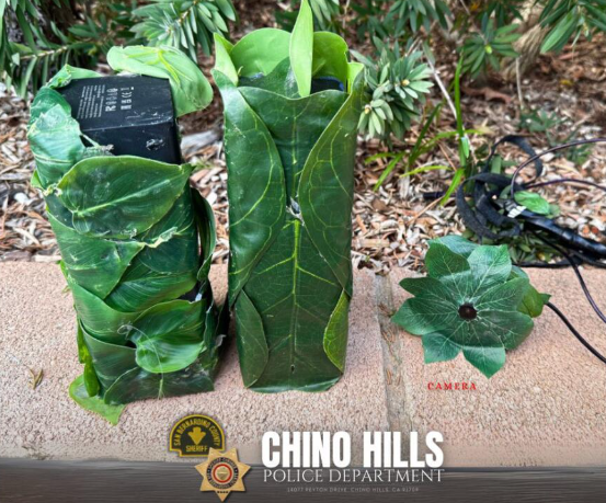 三招揪出“隐形摄像头”！南加警方传授避坑大法，别等贼进屋才后悔